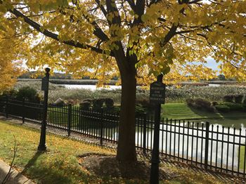 Fall season
